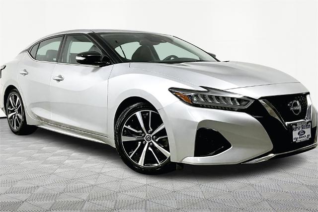 2023 Nissan Maxima