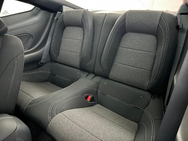 New 2026 Oxford White Ford EcoBoost® Fastback image 14