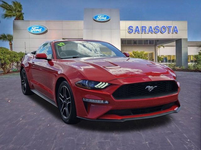 2019 Ford Mustang