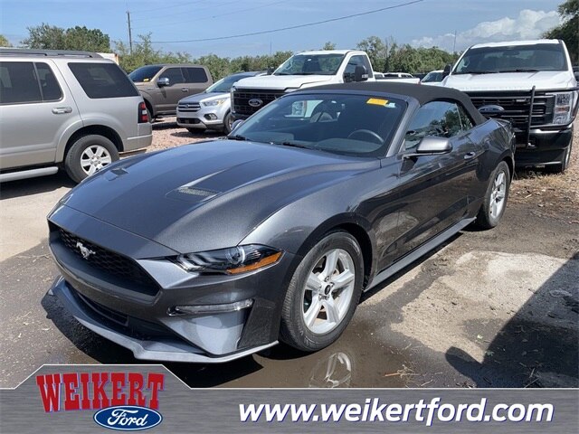 2019 Ford Mustang