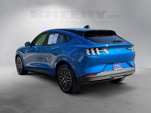 Used 2025 Blue Metallic Ford  image 12