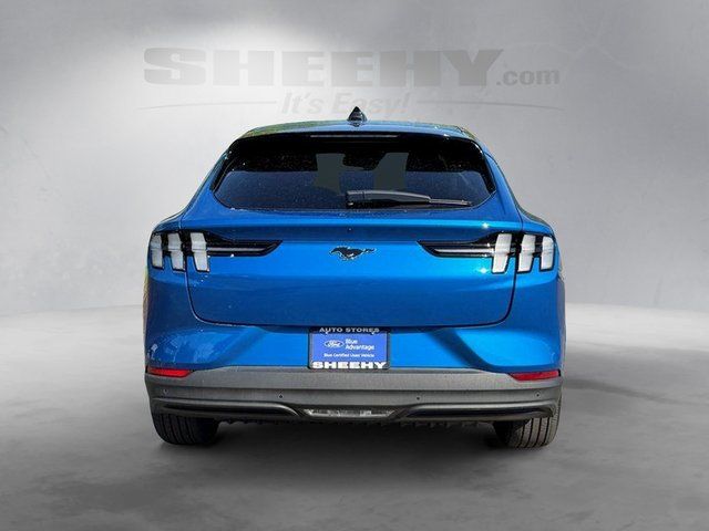 Used 2025 Blue Metallic Ford  image 13