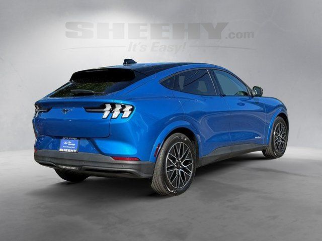 Used 2025 Blue Metallic Ford  image 14