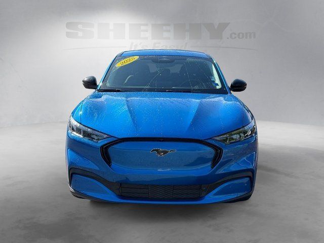 Used 2025 Blue Metallic Ford  image 17