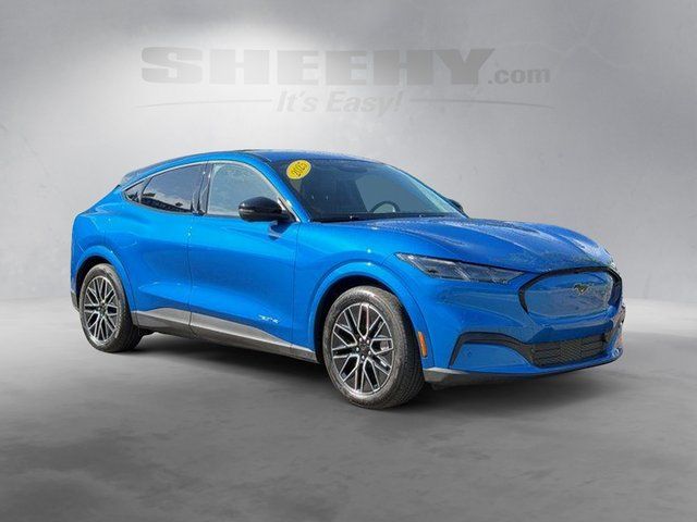Used 2025 Blue Metallic Ford  image 2