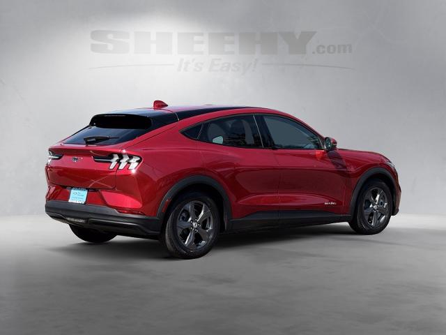 Certified Used 2021 Rapid Red Metallic Tinted Clearcoat Ford  image 13