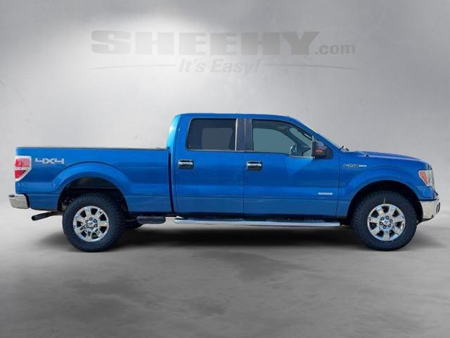 Used 2013 Blue Flame Metallic Ford  image 8