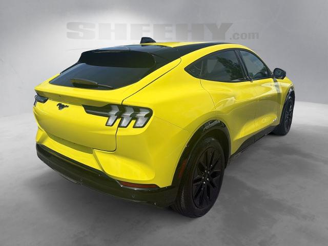 Used 2025 Yellow Ford  image 12
