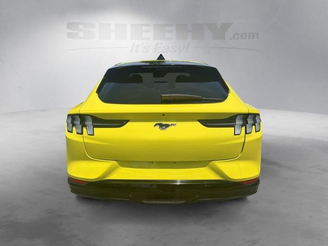 Used 2025 Yellow Ford  image 13