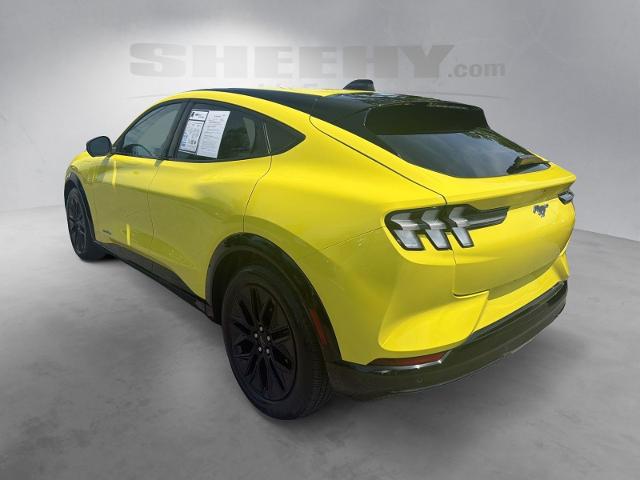 Used 2025 Yellow Ford  image 14