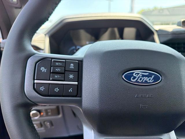 Used 2025 Antimatter Blue Metallic Ford  image 18