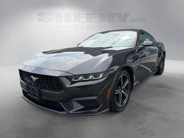 Used 2024 Dark Matter Gray Metallic Ford  image 15