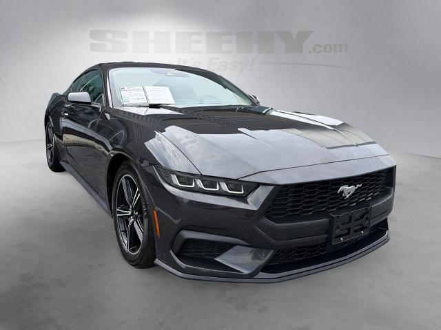 Used 2024 Dark Matter Gray Metallic Ford  image 2