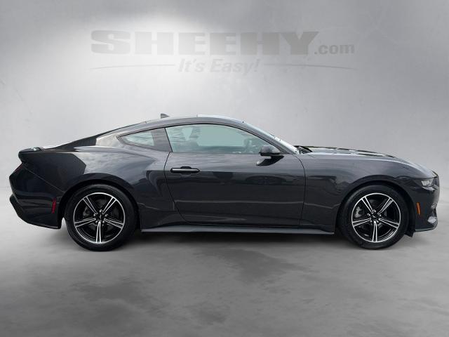 Used 2024 Dark Matter Gray Metallic Ford  image 9