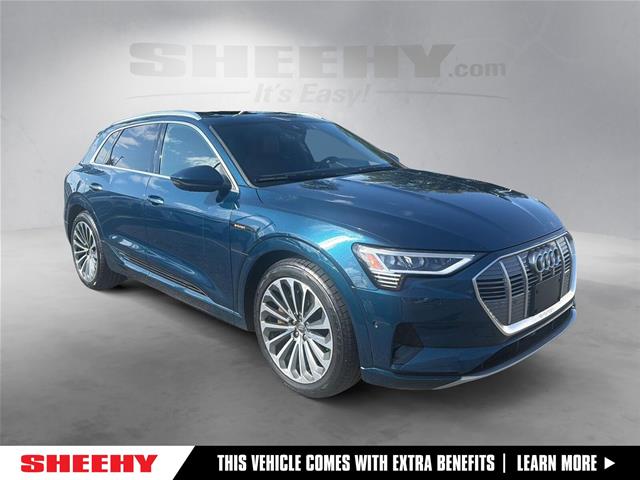 2019 Audi e-tron 