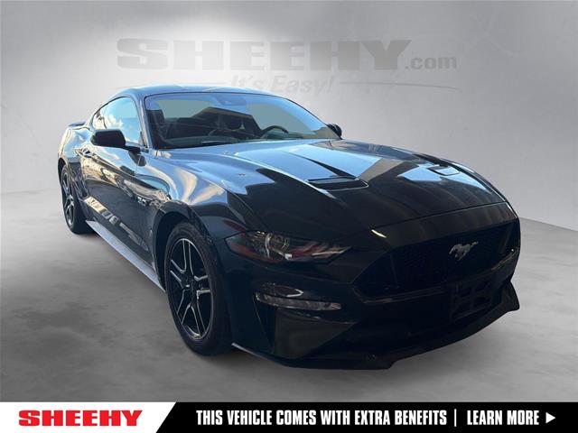 2023 Ford Mustang 