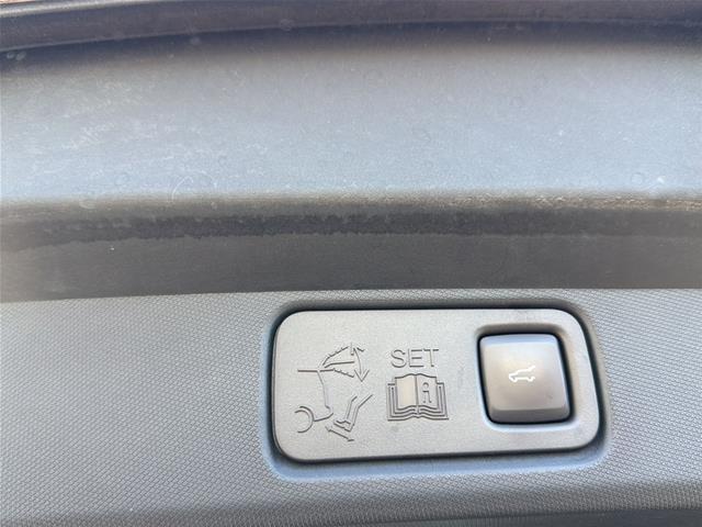 Used 2023 Star White Ford  image 12