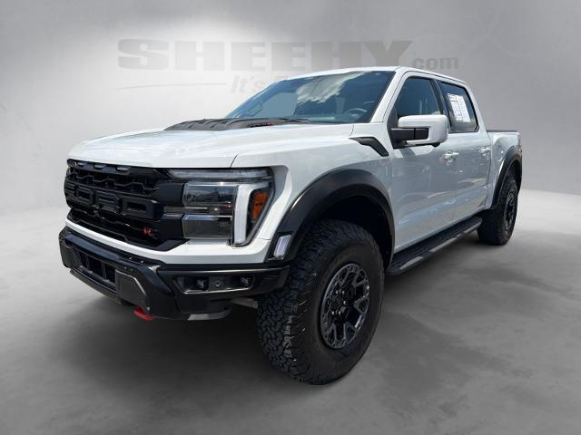 Used 2024 Avalanche Gray Ford  image 13