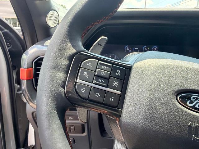 Used 2024 Avalanche Gray Ford  image 15