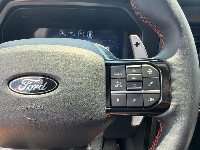 Used 2024 Avalanche Gray Ford  image 16