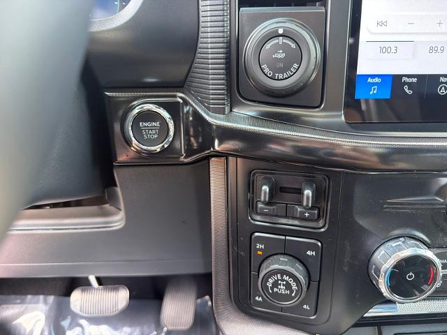 Used 2024 Avalanche Gray Ford  image 21