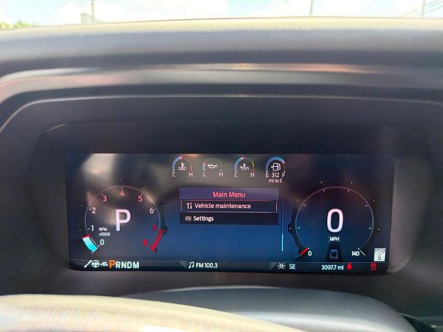 Used 2024 Avalanche Gray Ford  image 6