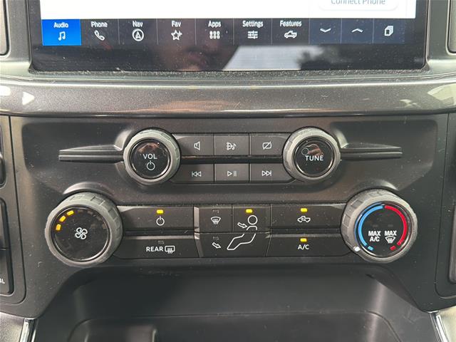 Used 2024 Avalanche Gray Ford  image 11