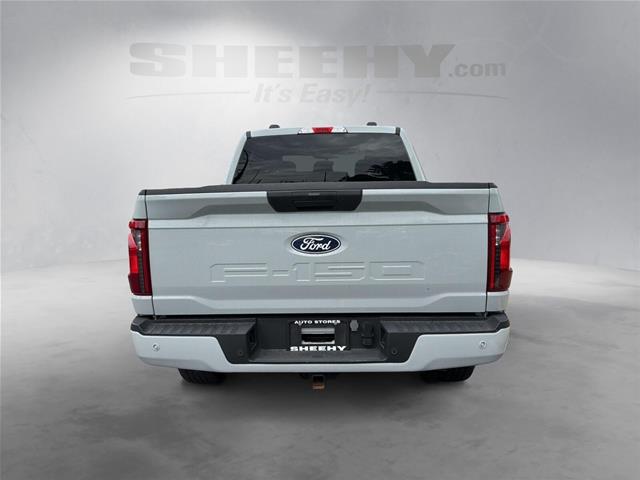 Used 2024 Avalanche Gray Ford  image 13