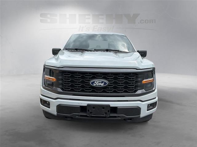 Used 2024 Avalanche Gray Ford  image 17
