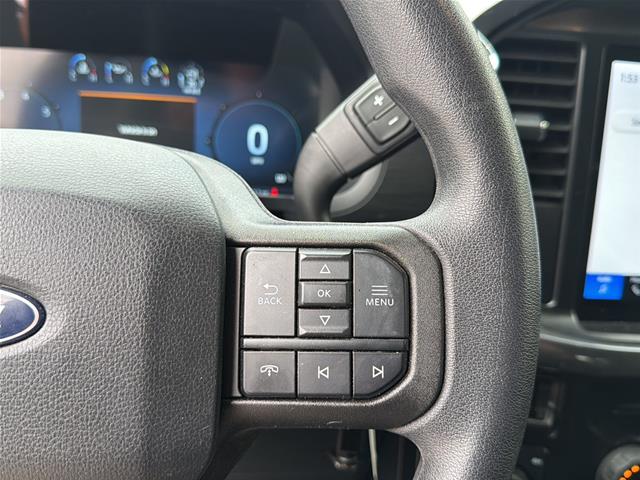 Used 2024 Avalanche Gray Ford  image 18