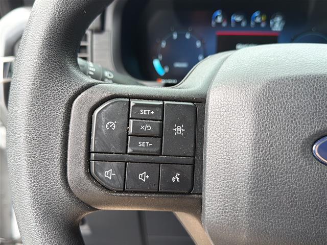 Used 2024 Avalanche Gray Ford  image 22