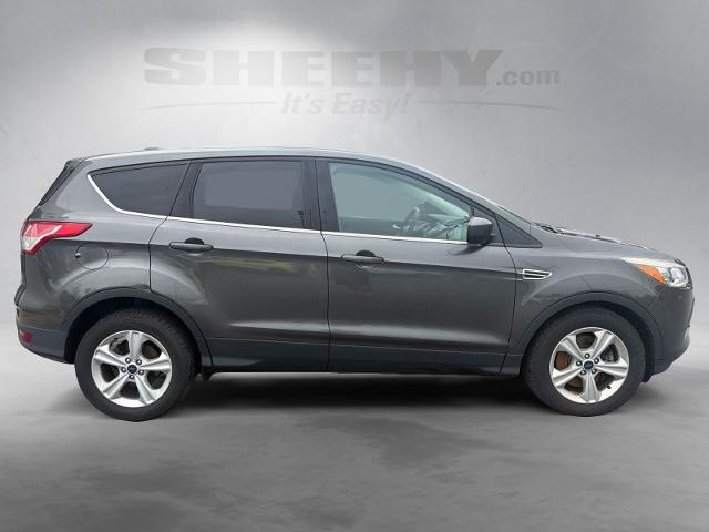 Used 2016 Magnetic Ford  image 10