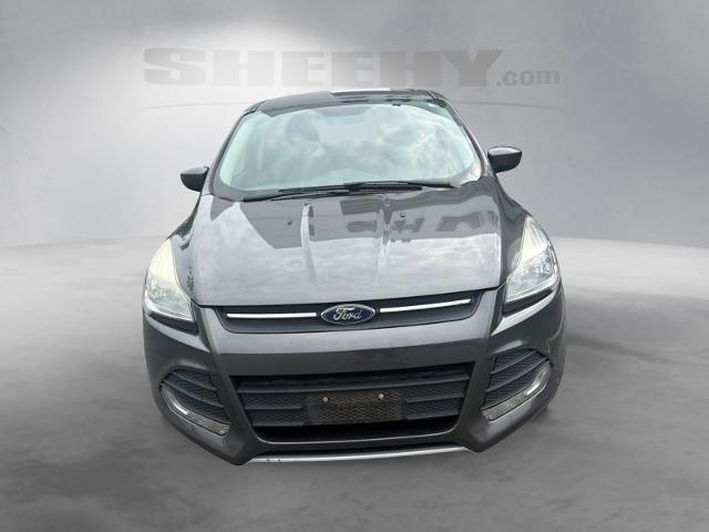 Used 2016 Magnetic Ford  image 18