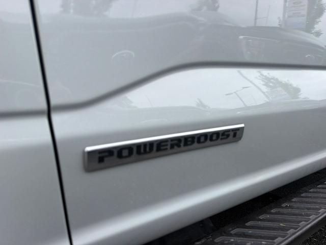 Used 2023 Avalanche Gray Ford  image 20