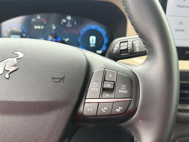 Used 2025 Carbonized Gray Ford  image 17