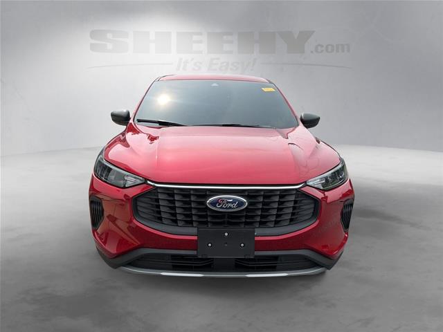 Used 2025 Rapid Red Metallic Tinted Clearcoat Ford  image 16