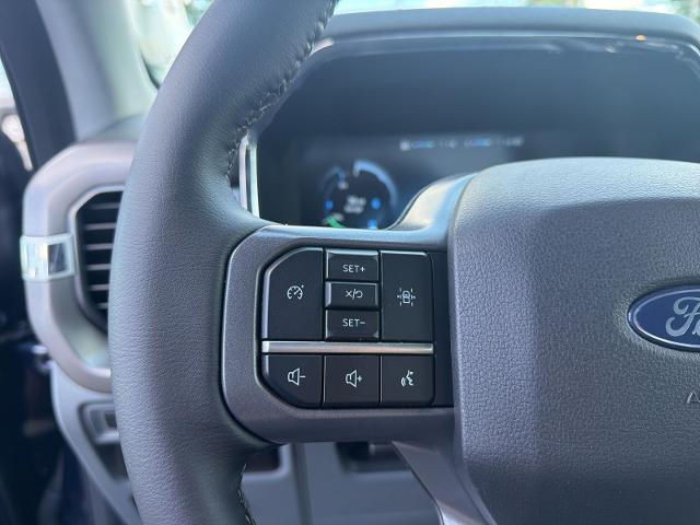 Used 2024 Blue Metallic Ford  image 15