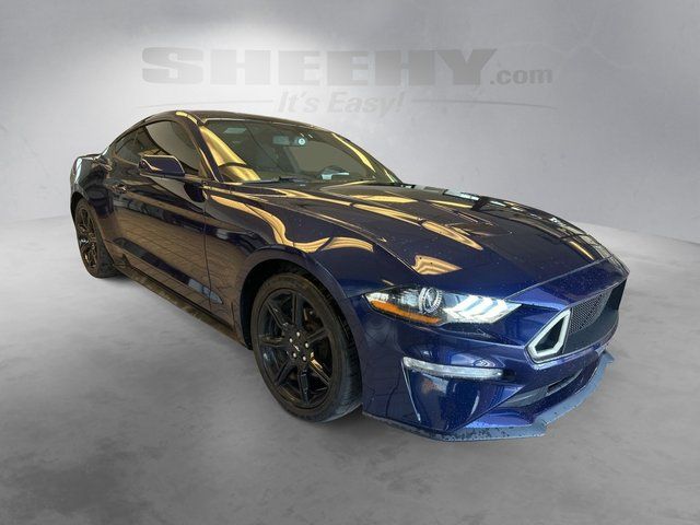 Used 2019 Ford Mustang EcoBoost with VIN 1FA6P8TH7K5129810 for sale in Ashland, VA
