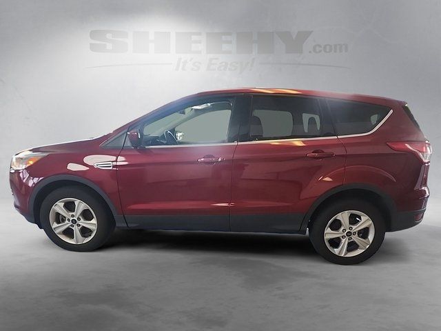 Used 2016 Ruby Red Metallic Ford  image 15