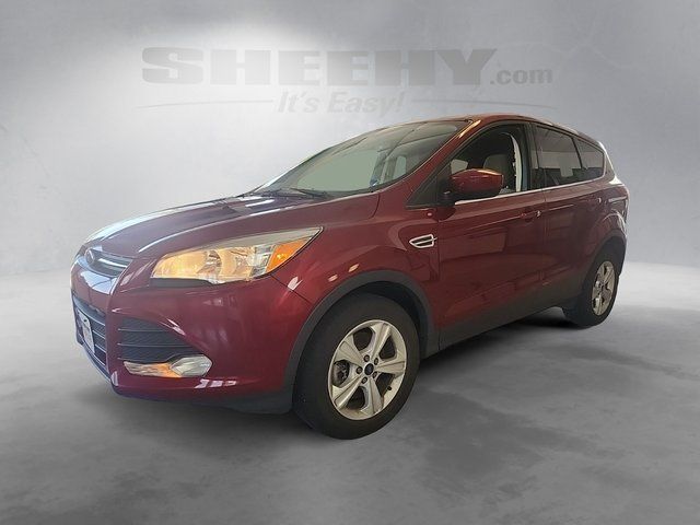 Used 2016 Ruby Red Metallic Ford  image 16