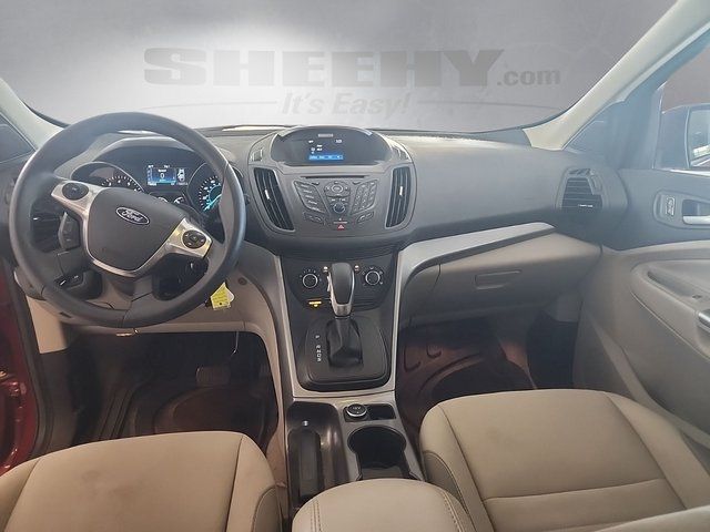 Used 2016 Ruby Red Metallic Ford  image 3