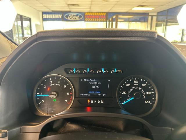 Used 2019 Magnetic Metallic Ford  image 6