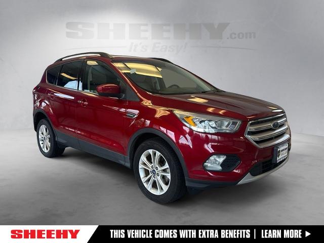 2019 Ford Escape 
