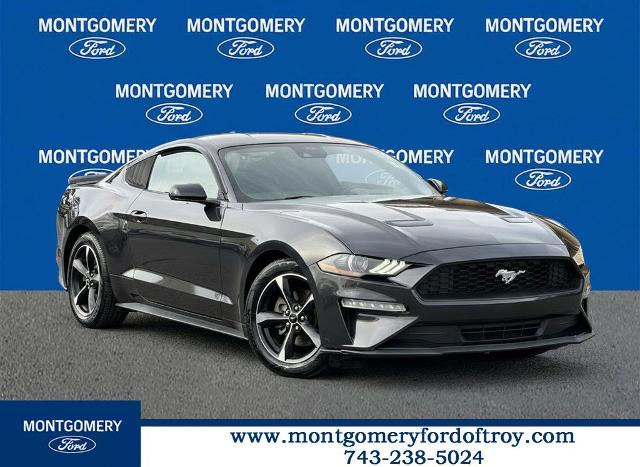 2022 Ford Mustang EcoBoost
