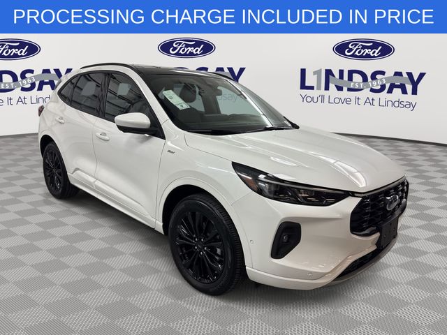 2024 Ford Escape ST-Line Elite