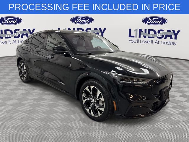 2021 Ford Mustang Mach-E Premium RWD