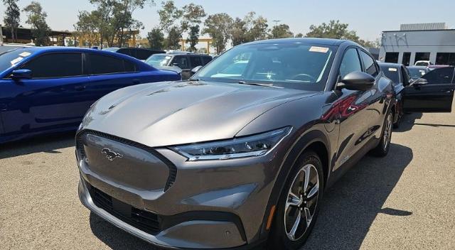 2021 Ford Mustang Mach-e