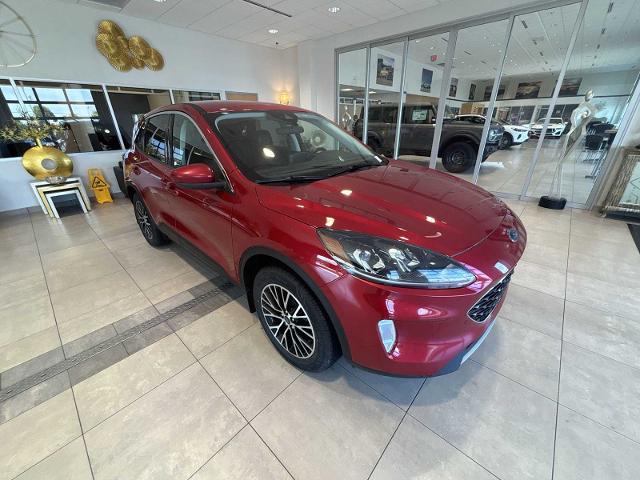 2022 Ford Escape