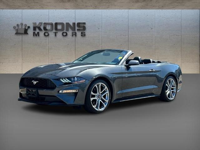 2019 Ford Mustang