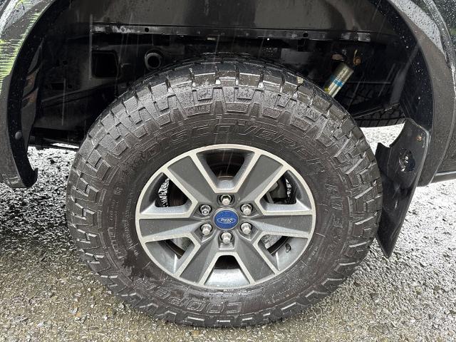 Used 2016 Shadow Black Ford  image 28